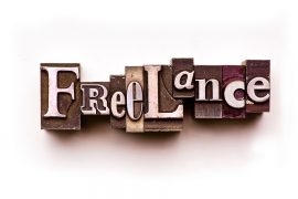Foxy Owl | Freelance